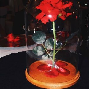 Rose with fairy lights on a glass dome with wooden base